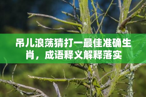 吊儿浪荡猜打一最佳准确生肖，成语释义解释落实