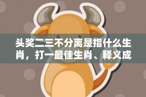 头奖二三不分离是指什么生肖，打一最佳生肖、释义成语解释落实