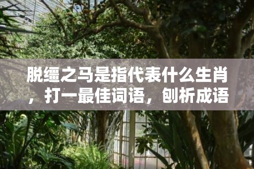 脱缰之马是指代表什么生肖，打一最佳词语，刨析成语释义答案
