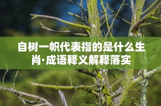自树一帜代表指的是什么生肖·成语释义解释落实