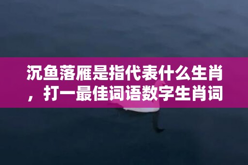 沉鱼落雁是指代表什么生肖，打一最佳词语数字生肖词典