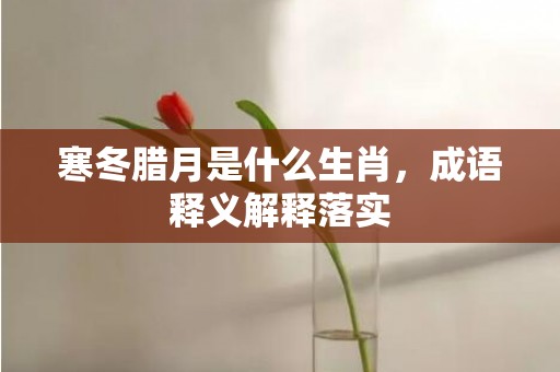 寒冬腊月是什么生肖，成语释义解释落实