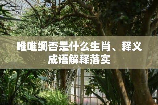 唯唯绸否是什么生肖、释义成语解释落实