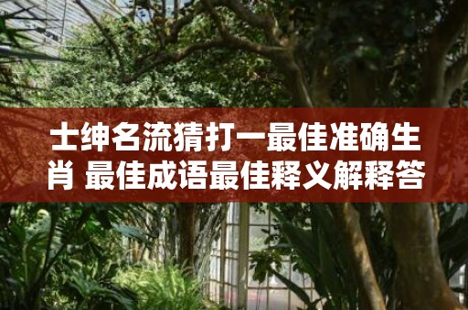 士绅名流猜打一最佳准确生肖 最佳成语最佳释义解释答