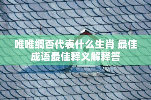 唯唯绸否代表什么生肖 最佳成语最佳释义解释答