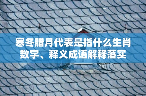 寒冬腊月代表是指什么生肖数字、释义成语解释落实