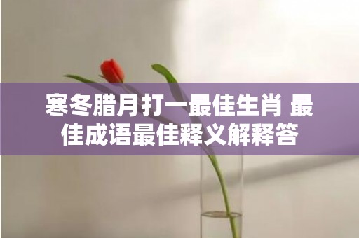 寒冬腊月打一最佳生肖 最佳成语最佳释义解释答