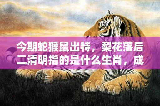 今期蛇猴鼠出特，梨花落后二清明指的是什么生肖，成语释义解释落实