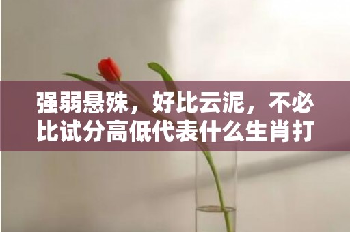 强弱悬殊，好比云泥，不必比试分高低代表什么生肖打一最佳、释义成语解释落实
