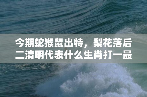 今期蛇猴鼠出特，梨花落后二清明代表什么生肖打一最佳、释义成语解释落实