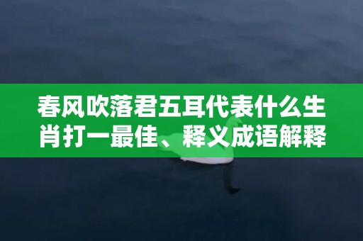 春风吹落君五耳代表什么生肖打一最佳、释义成语解释落实