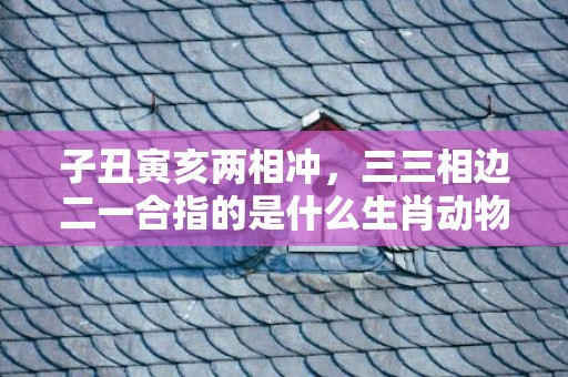 子丑寅亥两相冲，三三相边二一合指的是什么生肖动物、释义成语解释落实
