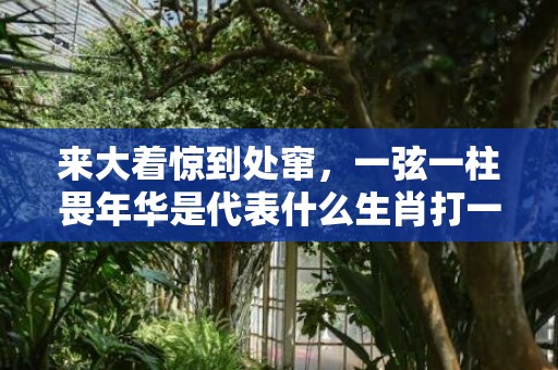 来大着惊到处窜，一弦一柱畏年华是代表什么生肖打一最佳、释义成语解释落实
