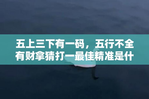 五上三下有一码，五行不全有财拿猜打一最佳精准是什么生肖，标准成语落实释义