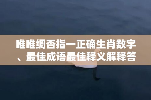 唯唯绸否指一正确生肖数字、最佳成语最佳释义解释答