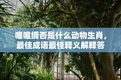 唯唯绸否是什么动物生肖，最佳成语最佳释义解释答