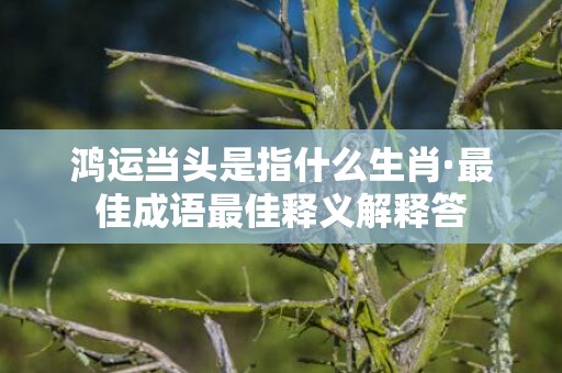 鸿运当头是指什么生肖·最佳成语最佳释义解释答