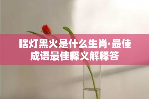 瞎灯黑火是什么生肖·最佳成语最佳释义解释答