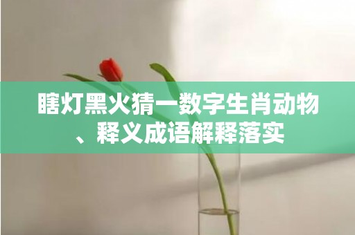 瞎灯黑火猜一数字生肖动物、释义成语解释落实