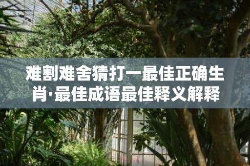 难割难舍猜打一最佳正确生肖·最佳成语最佳释义解释答
