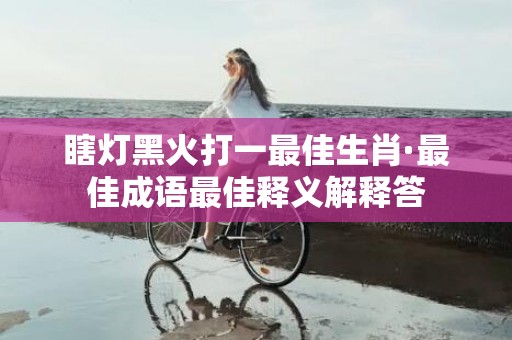 瞎灯黑火打一最佳生肖·最佳成语最佳释义解释答