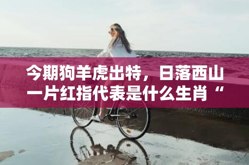 今期狗羊虎出特，日落西山一片红指代表是什么生肖“成语释义解释落实