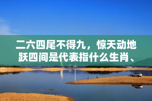 二六四尾不得九，惊天动地跃四间是代表指什么生肖、释义成语解释落实