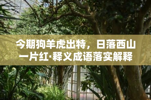 今期狗羊虎出特，日落西山一片红·释义成语落实解释