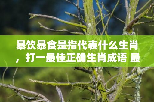 暴饮暴食是指代表什么生肖，打一最佳正确生肖成语 最佳成语最佳释义解释答