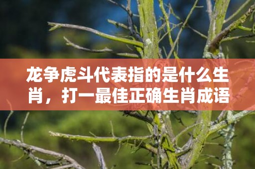龙争虎斗代表指的是什么生肖，打一最佳正确生肖成语·最佳成语最佳释义解释答