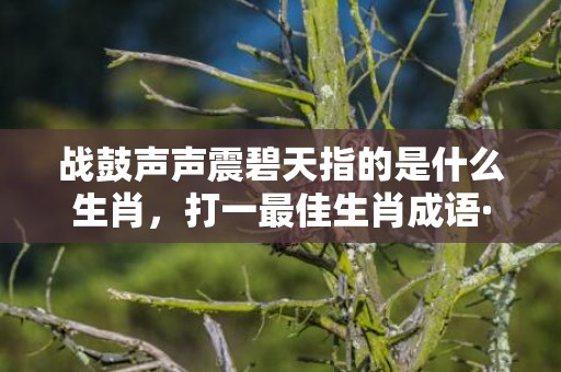 战鼓声声震碧天指的是什么生肖，打一最佳生肖成语·释义成语落实解释