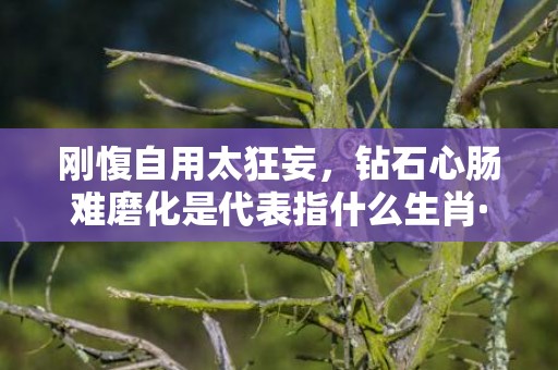 刚愎自用太狂妄，钻石心肠难磨化是代表指什么生肖·最佳成语最佳释义解释答
