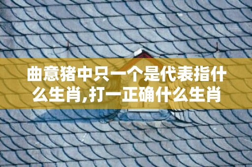 曲意猪中只一个是代表指什么生肖,打一正确什么生肖·最佳成语最佳释义解释答