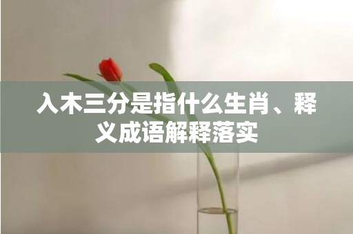 入木三分是指什么生肖、释义成语解释落实