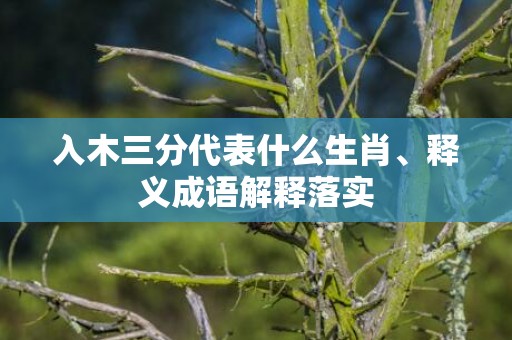 入木三分代表什么生肖、释义成语解释落实