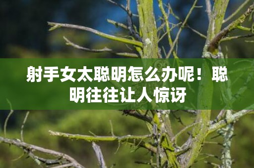 射手女太聪明怎么办呢！聪明往往让人惊讶