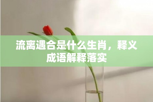 流离遇合是什么生肖，释义成语解释落实