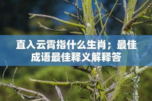 直入云霄指什么生肖；最佳成语最佳释义解释答
