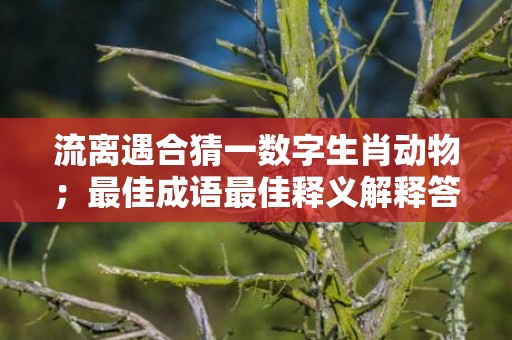 流离遇合猜一数字生肖动物；最佳成语最佳释义解释答插图