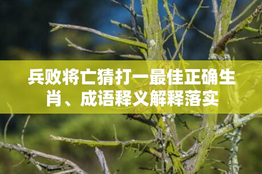 兵败将亡猜打一最佳正确生肖、成语释义解释落实插图