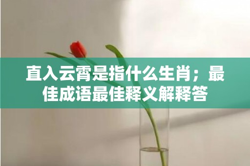 直入云霄是指什么生肖；最佳成语最佳释义解释答