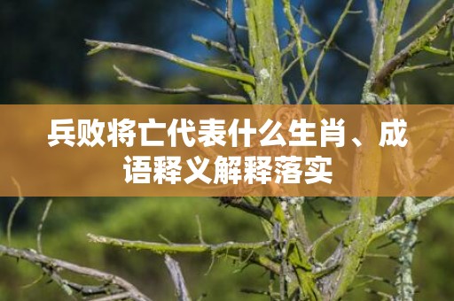 兵败将亡代表什么生肖、成语释义解释落实插图