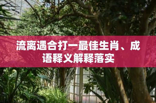 流离遇合打一最佳生肖、成语释义解释落实插图