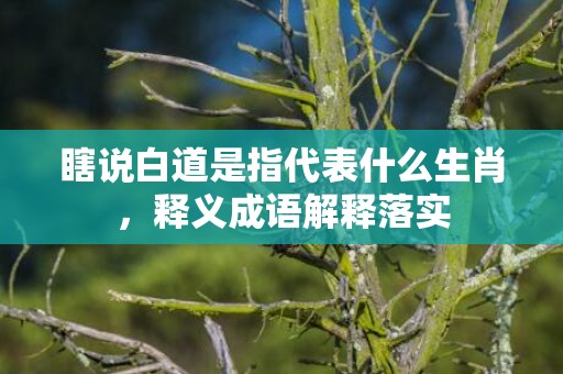 瞎说白道是指代表什么生肖，释义成语解释落实