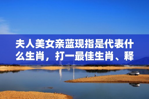 夫人美女亲蓝现指是代表什么生肖，打一最佳生肖、释义成语解释落实