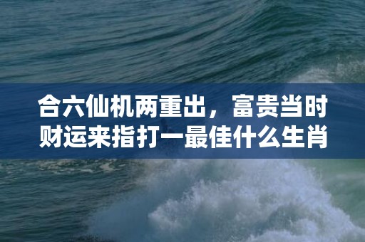 合六仙机两重出，富贵当时财运来指打一最佳什么生肖动物、释义成语解释落实