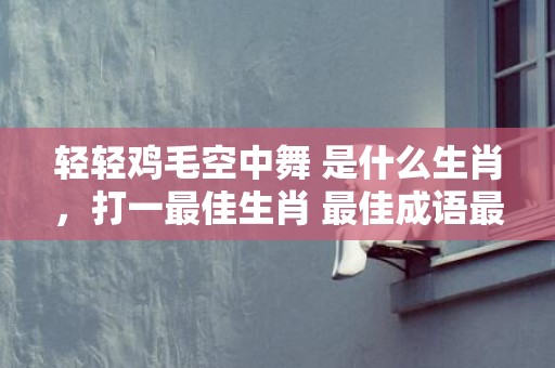 轻轻鸡毛空中舞 是什么生肖，打一最佳生肖 最佳成语最佳释义解释答