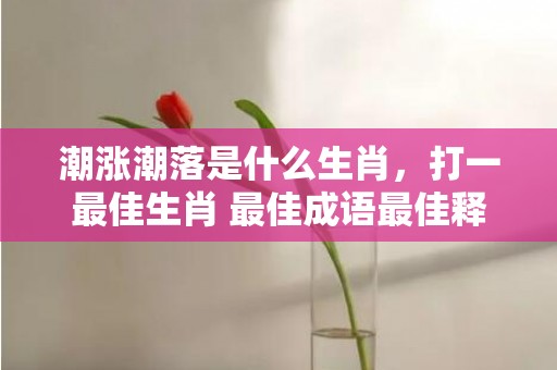潮涨潮落是什么生肖，打一最佳生肖 最佳成语最佳释义解释答“最佳成语最佳释义解释答”