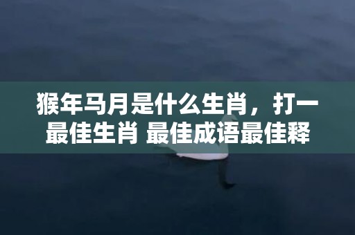 猴年马月是什么生肖，打一最佳生肖 最佳成语最佳释义解释答“最佳成语最佳释义解释答”