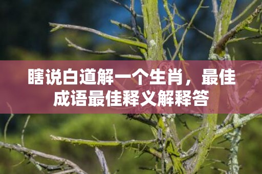 瞎说白道解一个生肖，最佳成语最佳释义解释答